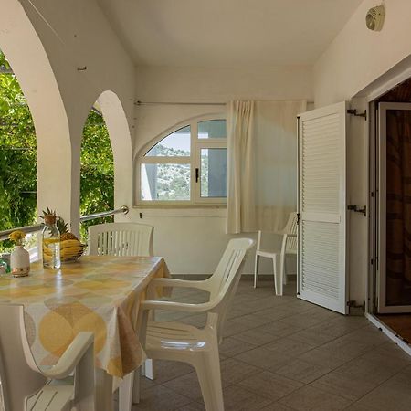 Apartmani Mares Ražanj מראה חיצוני תמונה
